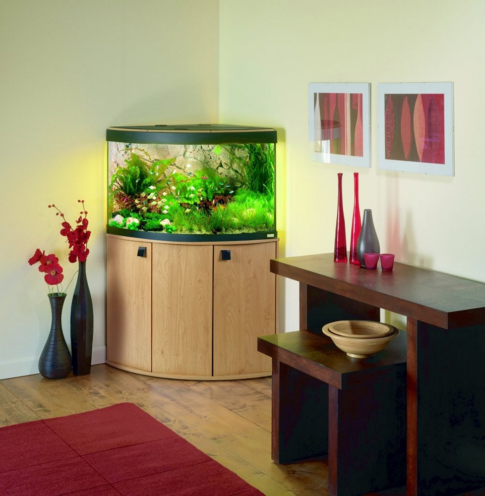 Small Modern Fish Tank Pictures